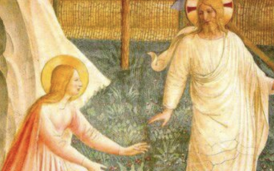 Quaresima di carità 2026